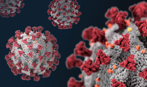 Coronavirus SARS-CoV-2 (image originale: CDC)